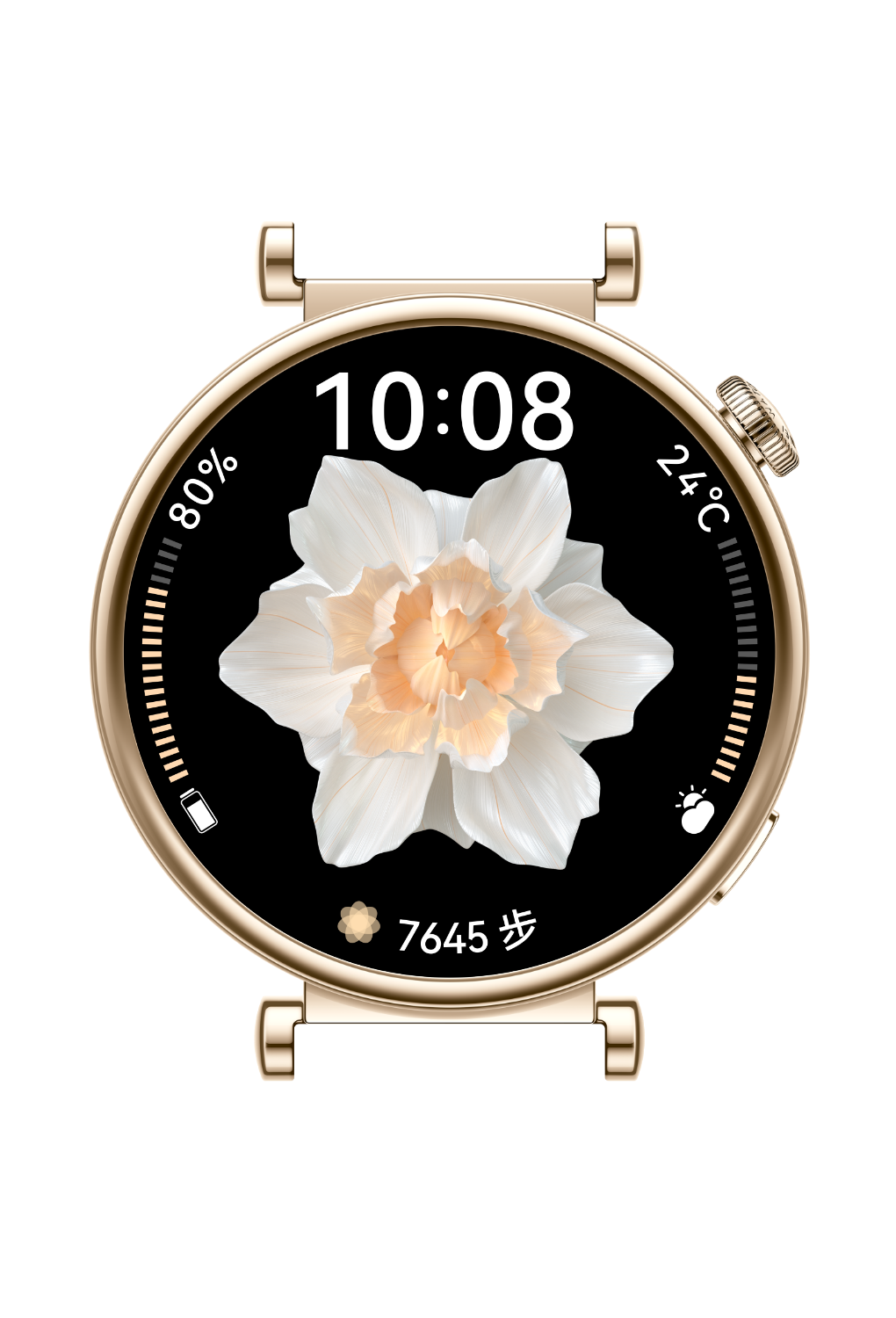 HUAWEI WATCH GT 4 表壳