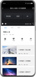 华为Vision智慧屏 3 投屏1