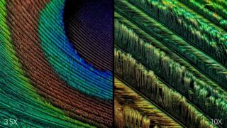 HUAWEI P60 Art 长焦微距