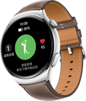 HUAWEI WATCH 4 系列 运动模式