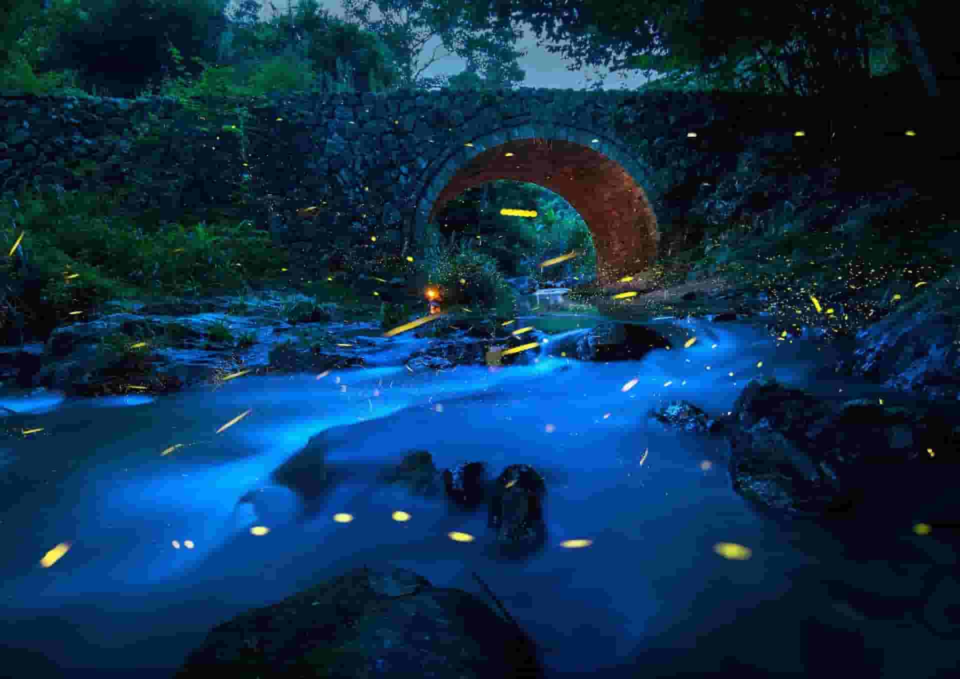 Night View on the Bridge